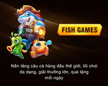 Lịch Sử Phát Triển HL88
